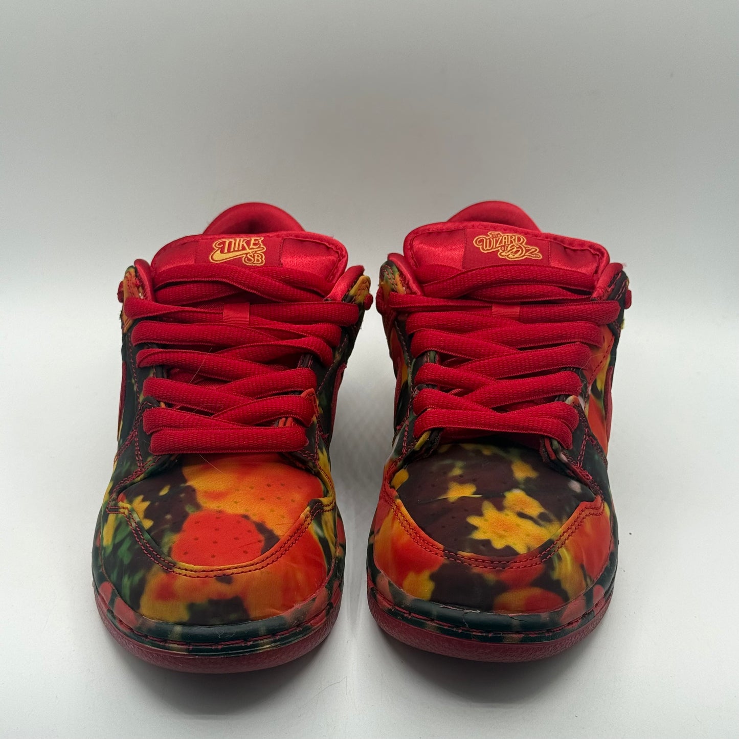 (Used) Nike SB Wizard Of Oz Size 5