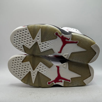 (USED) Jordan 6 Carmine (2014) Size 10.5