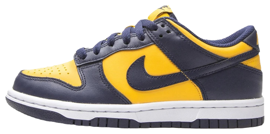 Nike Dunk Low Michigan (GS)