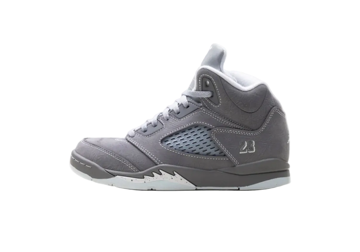 Jordan 5 Wolf Grey (2025) (PS)