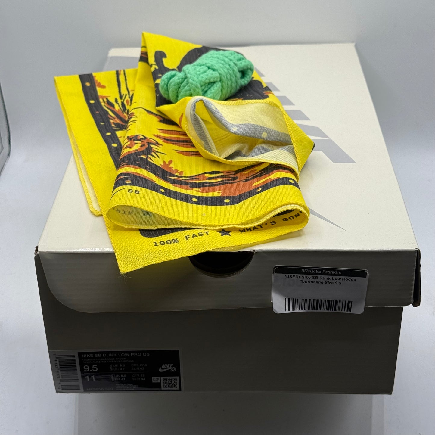 (USED) Nike SB Dunk Low Rodeo Tourmaline Size 9.5