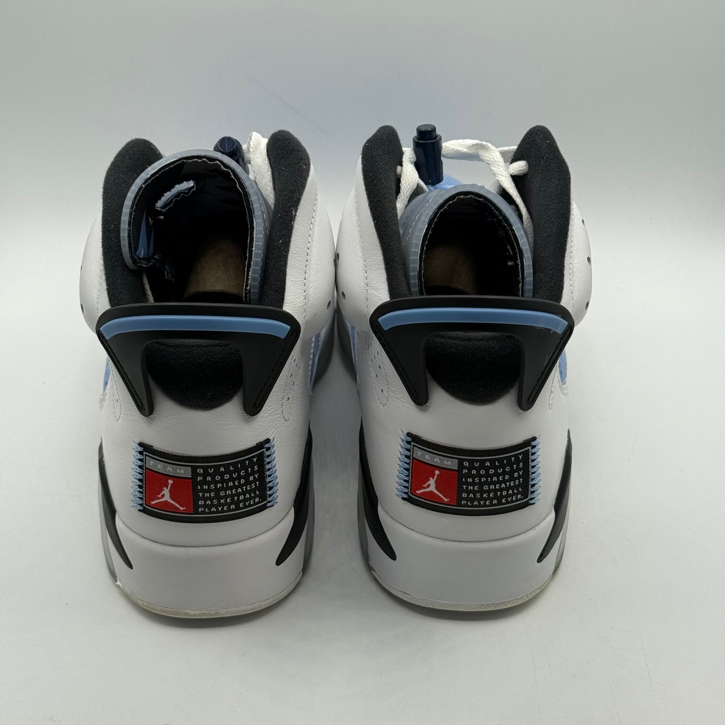 (USED) Jordan 6 UNC Size 10