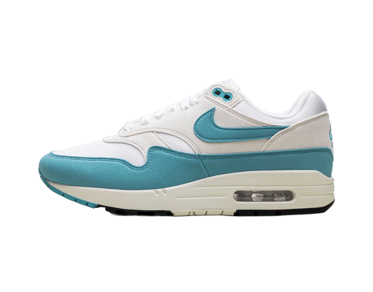 Nike Air Max 1 Dusty Cactus (W)