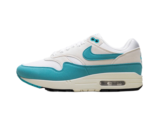 Nike Air Max 1 Dusty Cactus (W)