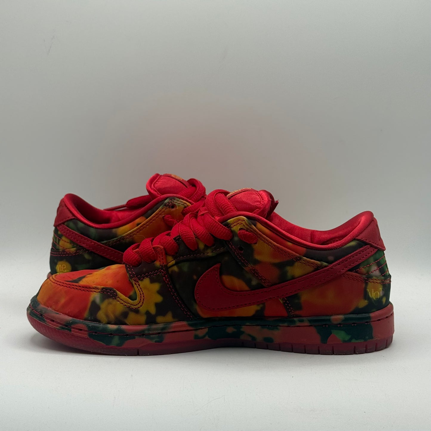 (Used) Nike SB Wizard Of Oz Size 5