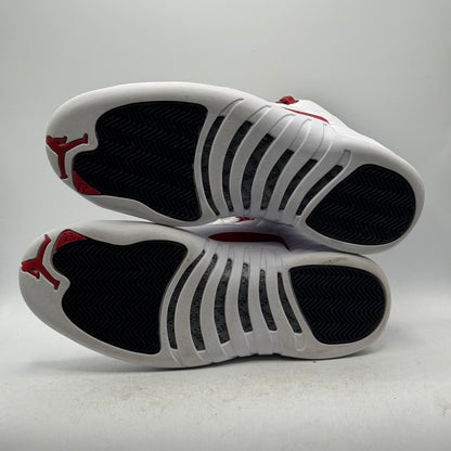 (USED NO BOX) Jordan 12 Twist Size 10.5