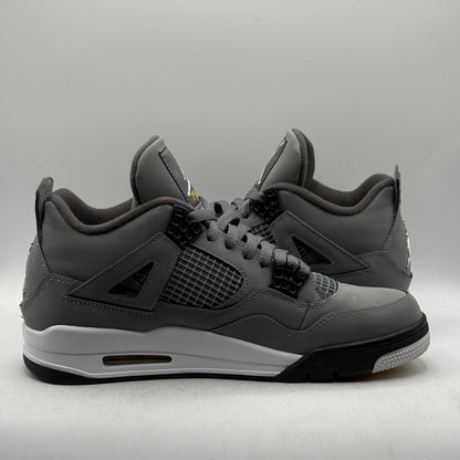 (Used) Jordan 4 Cool Grey (2019) Size 10
