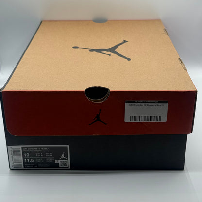 (USED) Jordan 12 Blueberry Size 10