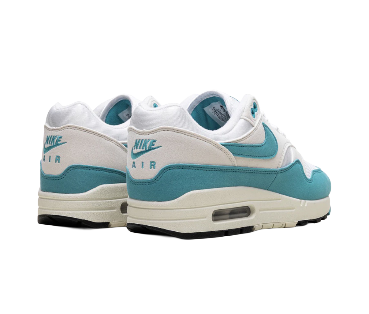 Nike Air Max 1 Dusty Cactus (W)