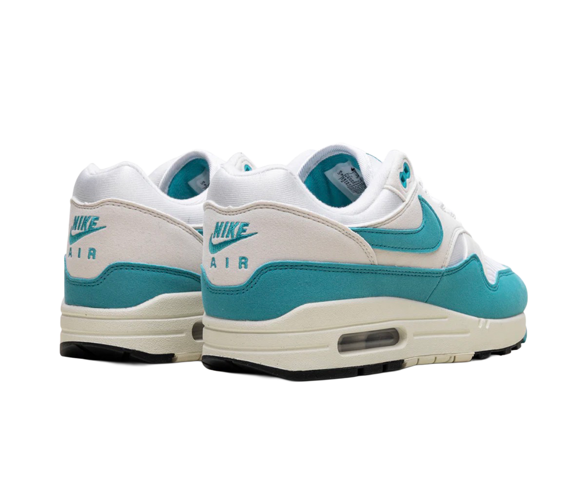 Nike Air Max 1 Dusty Cactus (W)