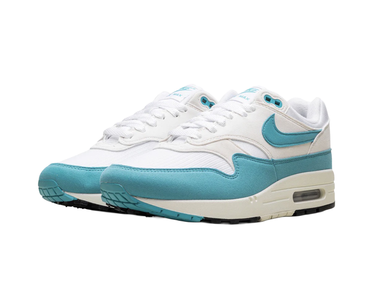 Nike Air Max 1 Dusty Cactus (W)