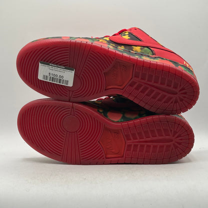 (USED) Nike SB Dunk Low Wizard of Oz Poppy Field Size 9.5