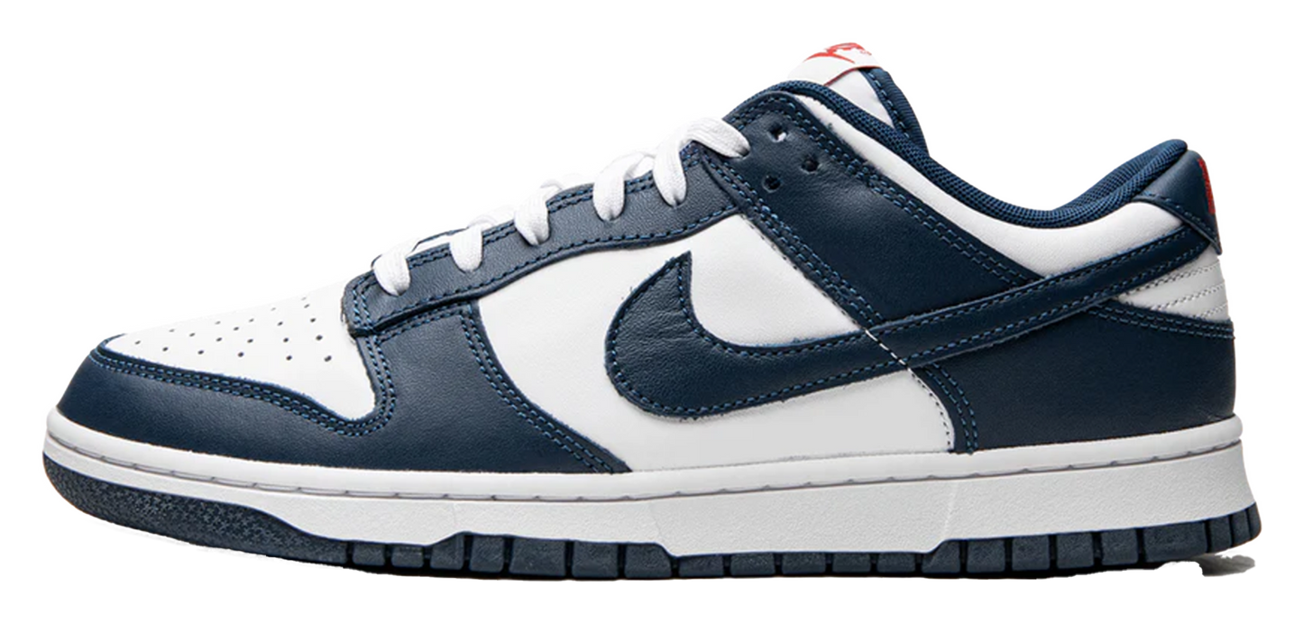 Nike Dunk Low Valerian Blue