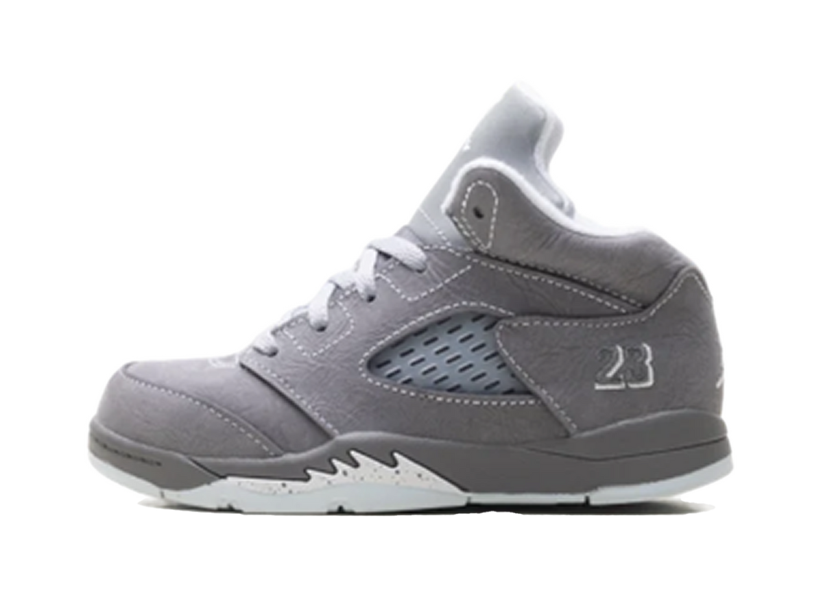 Jordan 5 Wolf Grey (TD)