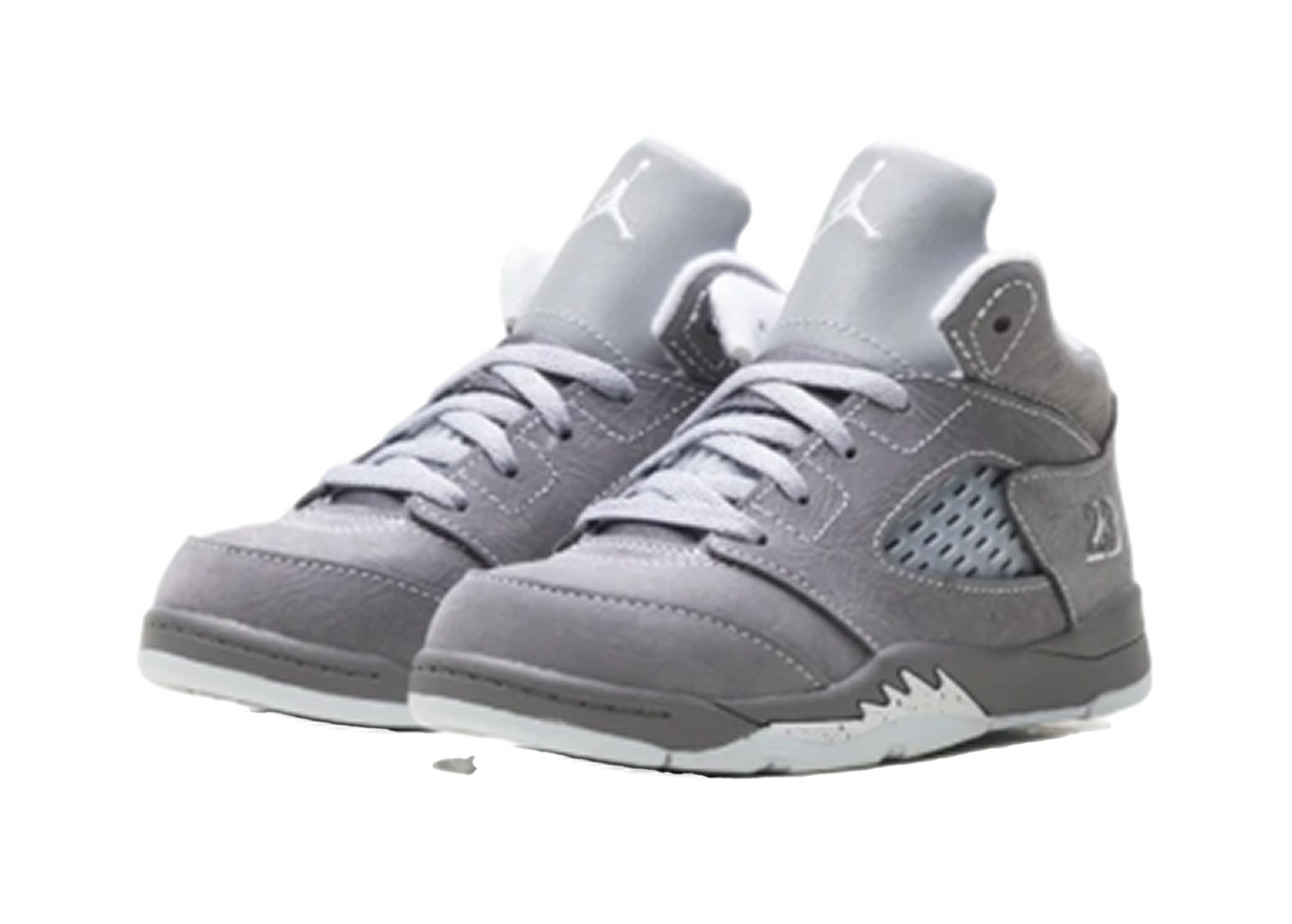 Jordan 5 Wolf Grey (TD)