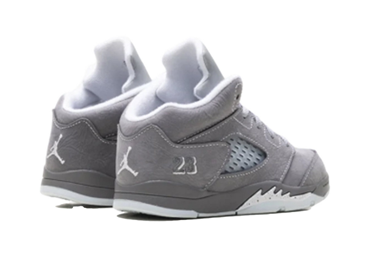 Jordan 5 Wolf Grey (TD)