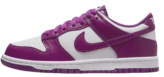 Nike Dunk Low Viotech (GS)