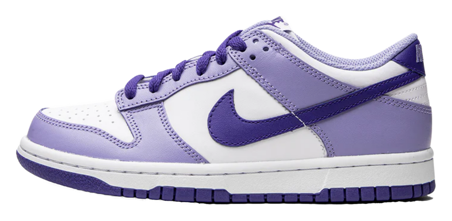 Nike Dunk Low Blueberry (GS)