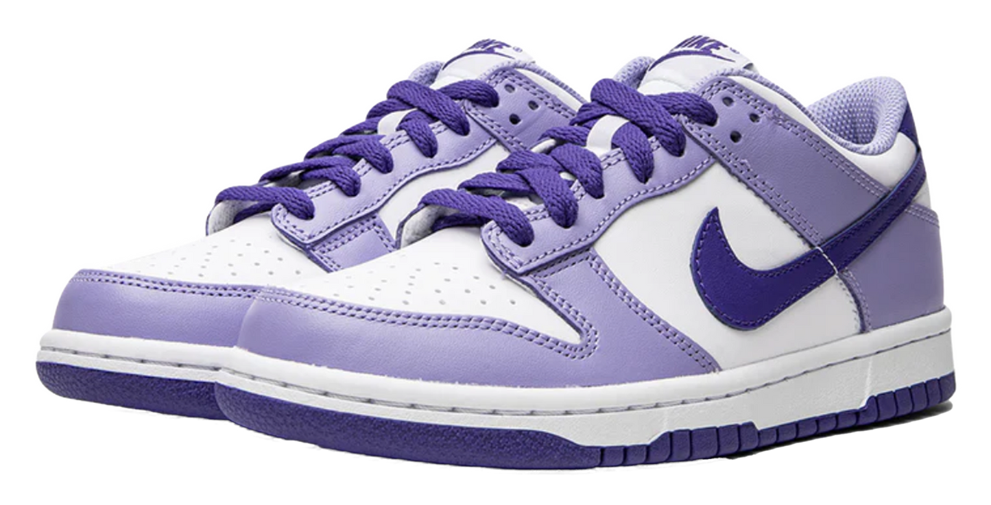 Nike Dunk Low Blueberry (GS)