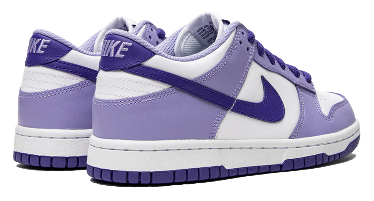 Nike Dunk Low Blueberry (GS)