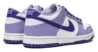 Nike Dunk Low Blueberry (GS)
